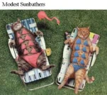 sunbathersxs0