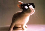 funny-picture-5436