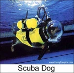 funny-picture-5893