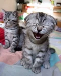 FUNNY