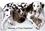 funny-picture-5532