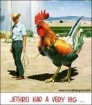 funny-picture-5534