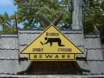 funny-picture-5533