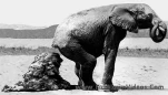 funny-picture-6927