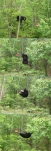 funny-picture-6808