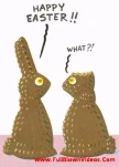 funny-picture-6575