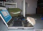 funny-picture-5759