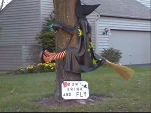 funny-picture-6536