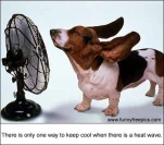 funny-picture-6413