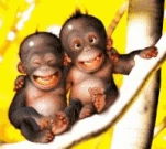 funny-picture-5971