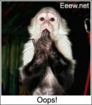 funny-picture-6475