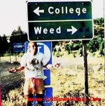 funny-picture-6276
