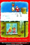 funny-picture-6322