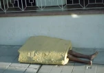 funny-picture-5950