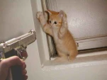 funny-picture-5622