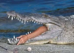 funny-picture-5832