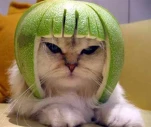 funny-picture-6174