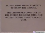 funny-picture-6269