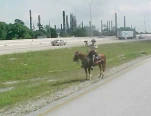 funny-picture-5871