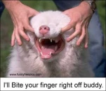 funny-picture-6249