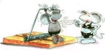 funny-picture-5863