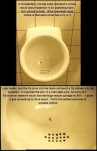funny-picture-5698