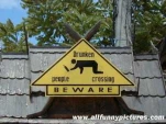 funny-picture-5876