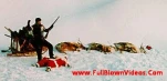 funny-picture-6656