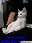 funny-picture-6760