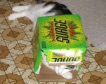SURGE