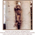 funny-picture-6381