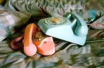 funny-picture-5594