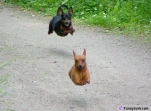 funny-picture-6648