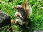 funny-picture-5471