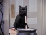tenor