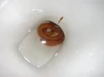 POO3