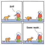118803767 2698525813718752 3781974634365808937 o