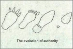 223