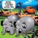 131621145 3564279153649579 1177289971071758097 n