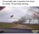 119552767 1499051616965111 3474787300793872487 n