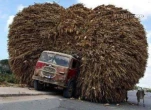overloaded1tg9