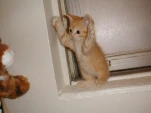 funny-picture-15