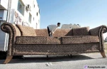 bigcouchrm8